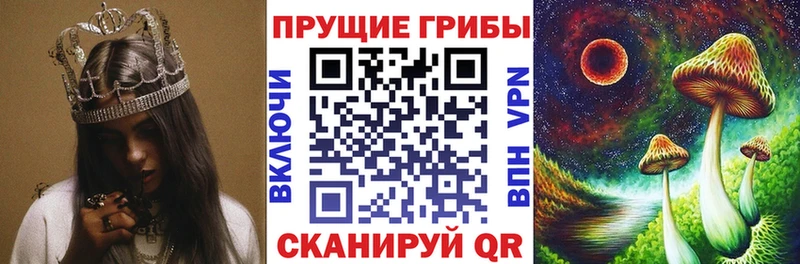 Галлюциногенные грибы мицелий blacksprut ССЫЛКА Малаховка